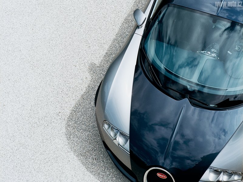 Bugatti Veyron W16.4 3.jpg